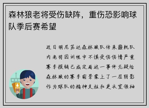 森林狼老将受伤缺阵，重伤恐影响球队季后赛希望